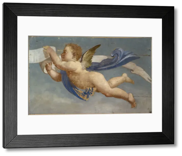Framed Print : Putto holding parchment. Decorative painting, between 1801 and 1900. Creator: Unknown Framed Print : Putto holding parchment. Decorative painting, between 1801 and 1900. Creator: Unknown