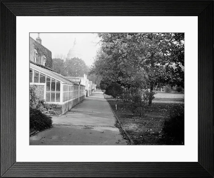 Framed Print : Botanical Gardens At The Capitol, 1917. Creator: Harris & Ewing. Botanical Gardens At The Capitol, 1917. Creator: Harris & Ewing Framed Print : Botanical Gardens At The Capitol, 1917. Creator: Harris & Ewing. Botanical Gardens At The Capitol, 1917. Creator: Harris & Ewing