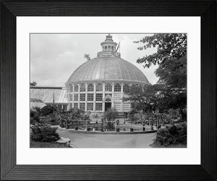 Framed Print : Botanical Gardens, 1917 or 1918. Creator: Harris & Ewing. Botanical Gardens, 1917 or 1918. Creator: Harris & Ewing Framed Print : Botanical Gardens, 1917 or 1918. Creator: Harris & Ewing. Botanical Gardens, 1917 or 1918. Creator: Harris & Ewing