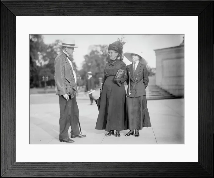 Framed Print : Democratic National Convention - Sen. Tillman of S.C.; Mrs. Tillman; Miss Tillman, 1912. Creator: Harris & Ewing. Democratic National Convention - Sen. Tillman of S.C.; Mrs. Tillman; Miss Tillman, 1912. Creator: Harris & Ewing Framed Print : Democratic National Convention - Sen. Tillman of S.C.; Mrs. Tillman; Miss Tillman, 1912. Creator: Harris & Ewing. Democratic National Convention - Sen. Tillman of S.C.; Mrs. Tillman; Miss Tillman, 1912. Creator: Harris & Ewing