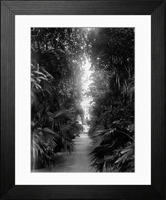 Framed Print : Botanical Gardens, 1917 or 1918. Creator: Harris & Ewing. Botanical Gardens, 1917 or 1918. Creator: Harris & Ewing Framed Print : Botanical Gardens, 1917 or 1918. Creator: Harris & Ewing. Botanical Gardens, 1917 or 1918. Creator: Harris & Ewing