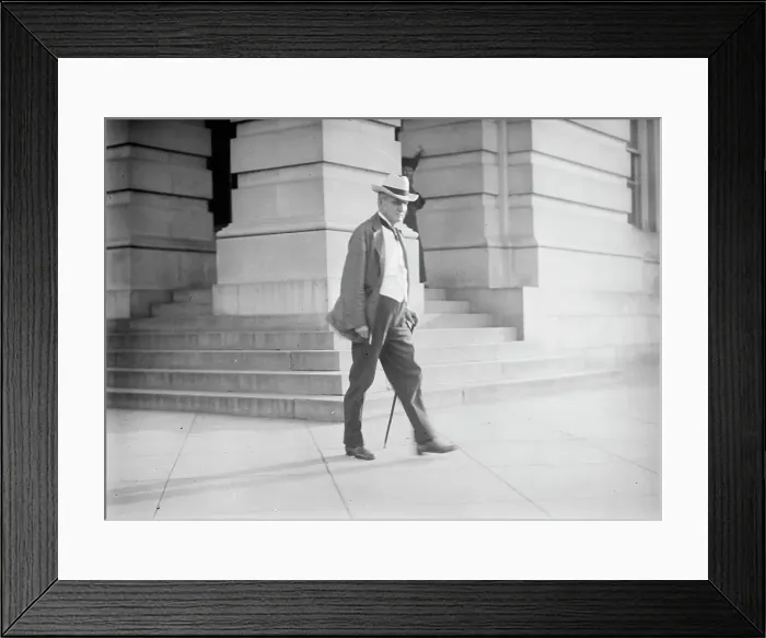Framed Print : Democratic National Convention - Sen. Tillman of S.C. 1912. Creator: Harris & Ewing. Democratic National Convention - Sen. Tillman of S.C. 1912. Creator: Harris & Ewing Framed Print : Democratic National Convention - Sen. Tillman of S.C. 1912. Creator: Harris & Ewing. Democratic National Convention - Sen. Tillman of S.C. 1912. Creator: Harris & Ewing