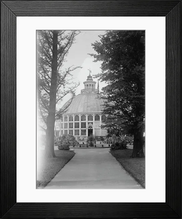 Framed Print : Botanical Gardens, 1917 or 1918. Creator: Harris & Ewing. Botanical Gardens, 1917 or 1918. Creator: Harris & Ewing Framed Print : Botanical Gardens, 1917 or 1918. Creator: Harris & Ewing. Botanical Gardens, 1917 or 1918. Creator: Harris & Ewing