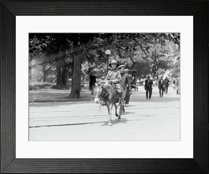 Framed Print : David Coxey, 1914. Creator: Harris & Ewing. David Coxey, 1914. Creator: Harris & Ewing Framed Print : David Coxey, 1914. Creator: Harris & Ewing. David Coxey, 1914. Creator: Harris & Ewing