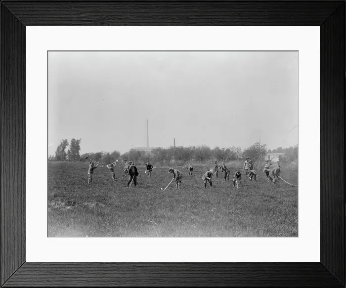 Framed Print : Boy Scouts Gardening In Potomac Park, 1917. Creator: Harris & Ewing. Boy Scouts Gardening In Potomac Park, 1917. Creator: Harris & Ewing Framed Print : Boy Scouts Gardening In Potomac Park, 1917. Creator: Harris & Ewing. Boy Scouts Gardening In Potomac Park, 1917. Creator: Harris & Ewing