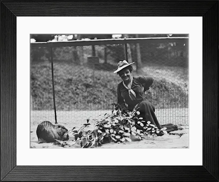 Framed Print : Mrs. Franklin Adams, nee Harriet Chalmers, at Zoo, 1912. Creator: Harris & Ewing. Mrs. Franklin Adams, nee Harriet Chalmers, at Zoo, 1912. Creator: Harris & Ewing Framed Print : Mrs. Franklin Adams, nee Harriet Chalmers, at Zoo, 1912. Creator: Harris & Ewing. Mrs. Franklin Adams, nee Harriet Chalmers, at Zoo, 1912. Creator: Harris & Ewing