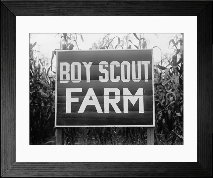 Framed Print : Boy Scouts, Boy Scout Farm, 1917. Creator: Harris & Ewing. Boy Scouts, Boy Scout Farm, 1917. Creator: Harris & Ewing Framed Print : Boy Scouts, Boy Scout Farm, 1917. Creator: Harris & Ewing. Boy Scouts, Boy Scout Farm, 1917. Creator: Harris & Ewing