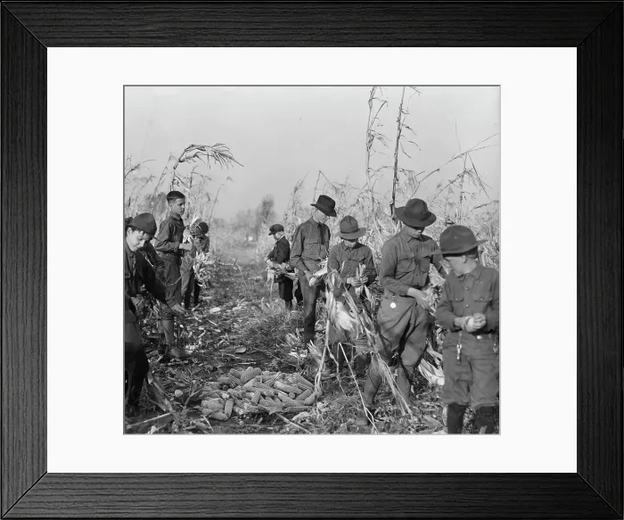 Framed Print : Boy Scouts, Boy Scout Farm, 1917. Creator: Harris & Ewing. Boy Scouts, Boy Scout Farm, 1917. Creator: Harris & Ewing Framed Print : Boy Scouts, Boy Scout Farm, 1917. Creator: Harris & Ewing. Boy Scouts, Boy Scout Farm, 1917. Creator: Harris & Ewing