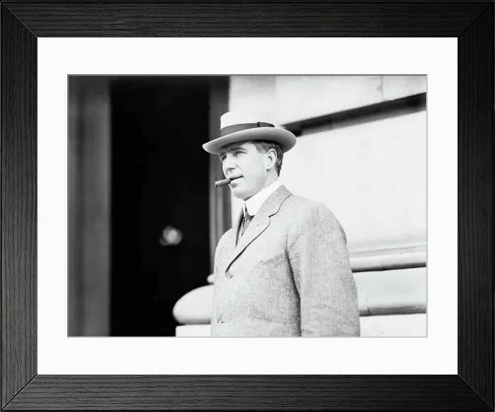 Framed Print : Theodore A. Ball, Democratic National Convention, 1912. Creator: Harris & Ewing. Theodore A. Ball, Democratic National Convention, 1912. Creator: Harris & Ewing Framed Print : Theodore A. Ball, Democratic National Convention, 1912. Creator: Harris & Ewing. Theodore A. Ball, Democratic National Convention, 1912. Creator: Harris & Ewing