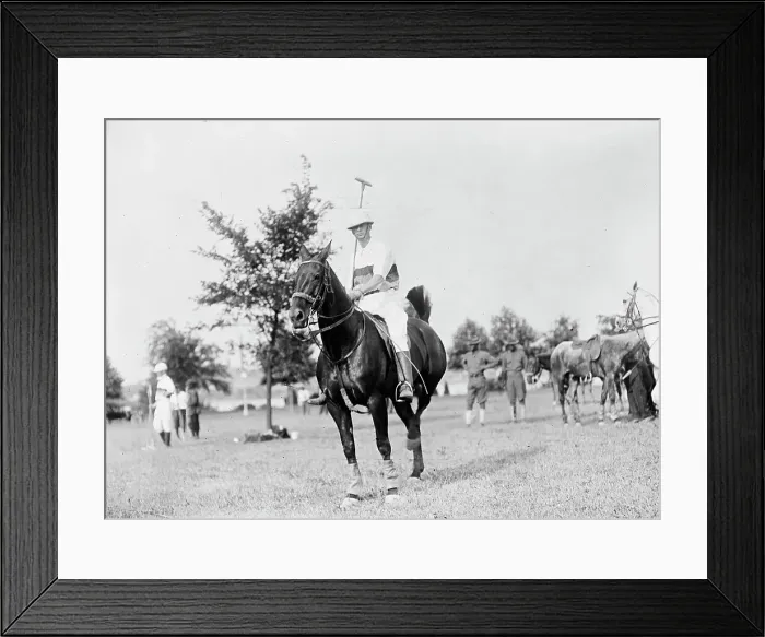 Framed Print : Polo. Army Polo, 1912. Creator: Harris & Ewing. Polo. Army Polo, 1912. Creator: Harris & Ewing Framed Print : Polo. Army Polo, 1912. Creator: Harris & Ewing. Polo. Army Polo, 1912. Creator: Harris & Ewing