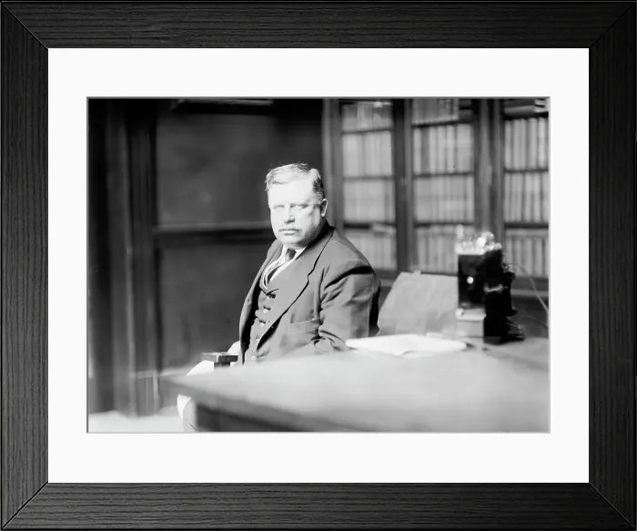 Framed Print : Democratic National Convention - Robert Crain of Baltimore, 1912. Creator: Harris & Ewing. Democratic National Convention - Robert Crain of Baltimore, 1912. Creator: Harris & Ewing Framed Print : Democratic National Convention - Robert Crain of Baltimore, 1912. Creator: Harris & Ewing. Democratic National Convention - Robert Crain of Baltimore, 1912. Creator: Harris & Ewing