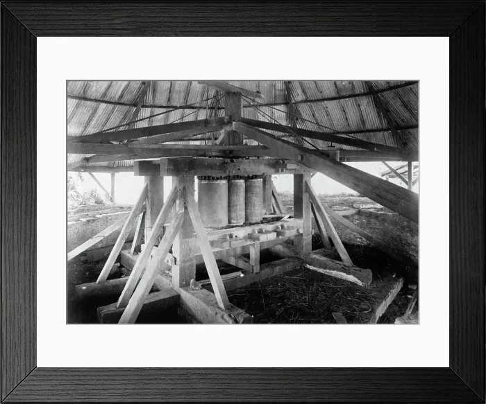 Framed Print : Puerto Rico. Int. of New And Old Sugar Mills, 1912. Creator: Harris & Ewing. Puerto Rico. Int. of New And Old Sugar Mills, 1912. Creator: Harris & Ewing Framed Print : Puerto Rico. Int. of New And Old Sugar Mills, 1912. Creator: Harris & Ewing. Puerto Rico. Int. of New And Old Sugar Mills, 1912. Creator: Harris & Ewing