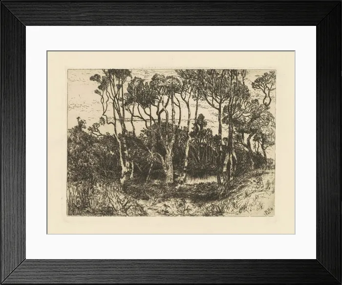 Framed Print : Solitude, 1880. Creator: Mary Nimmo Moran Framed Print : Solitude, 1880. Creator: Mary Nimmo Moran