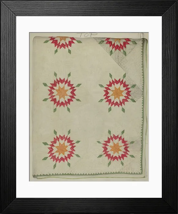 Framed Print : Quilt - Applique Patterns with Border, c. 1936. Creator: Lily Capson Framed Print : Quilt - Applique Patterns with Border, c. 1936. Creator: Lily Capson