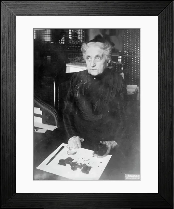 Framed Print : Mrs. Brown of Treasury Department - Identifying Damaged Bills For Redemption, 1913. Creator: Harris & Ewing. Mrs. Brown of Treasury Department - Identifying Damaged Bills For Redemption, 1913. Creator: Harris & Ewing Framed Print : Mrs. Brown of Treasury Department - Identifying Damaged Bills For Redemption, 1913. Creator: Harris & Ewing. Mrs. Brown of Treasury Department - Identifying Damaged Bills For Redemption, 1913. Creator: Harris & Ewing