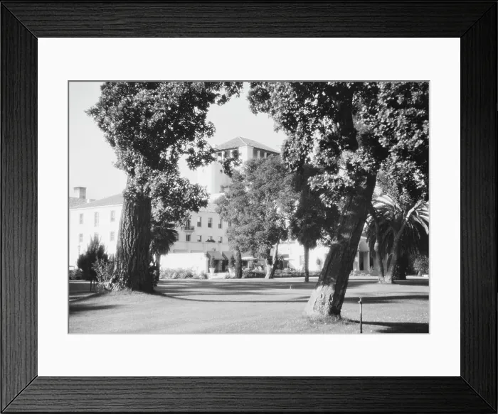 Framed Print : Del Monte, California views, 1927 Creator: Arnold Genthe Framed Print : Del Monte, California views, 1927 Creator: Arnold Genthe