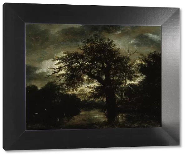 The Old Oak, c1648. Creator: Jacob van Ruisdael