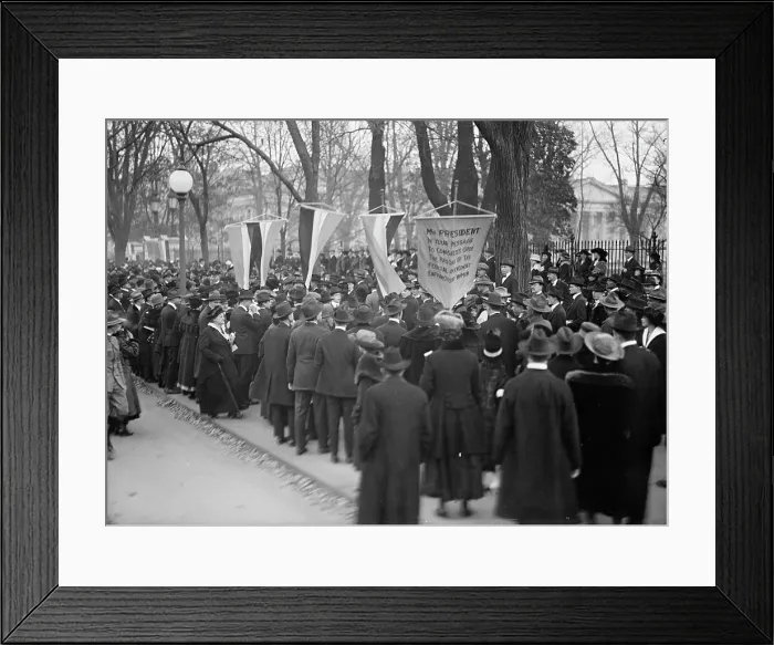 Framed Print : Woman Suffrage - Pickets, 1917. Creator: Harris & Ewing. Woman Suffrage - Pickets, 1917. Creator: Harris & Ewing Framed Print : Woman Suffrage - Pickets, 1917. Creator: Harris & Ewing. Woman Suffrage - Pickets, 1917. Creator: Harris & Ewing