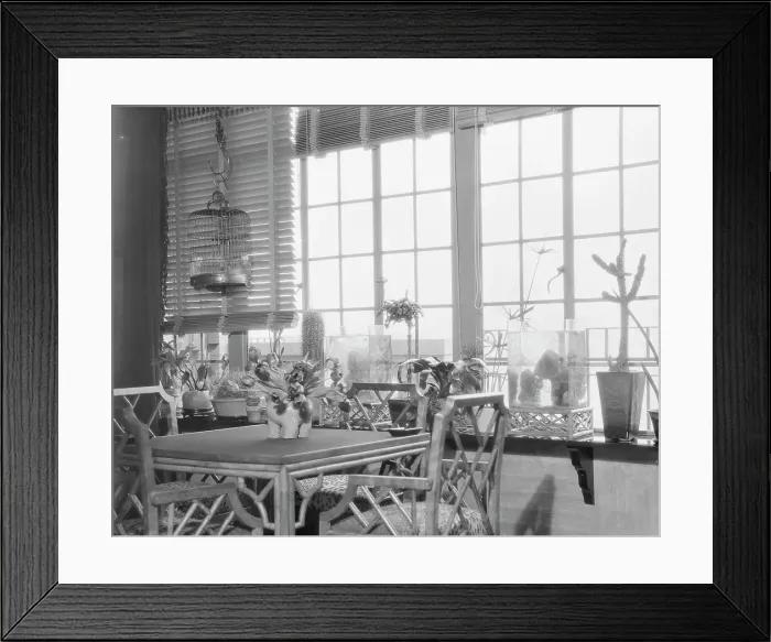 Framed Print : Gould, Jay, Mrs. apartment, 1929 Feb. 16. Creator: Arnold Genthe Framed Print : Gould, Jay, Mrs. apartment, 1929 Feb. 16. Creator: Arnold Genthe