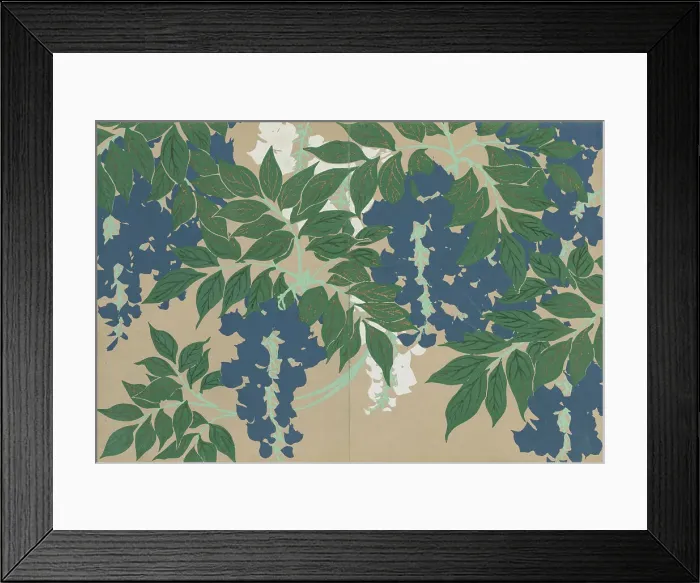 Framed Print : Wisteria (Fuji). From the series A World of Things (Momoyogusa), 1909-1910. Creator: Sekka, Kamisaka (1866-1942). Wisteria (Fuji). From the series A World of Things (Momoyogusa), 1909-1910. Creator: Sekka, Kamisaka (1866-1942) Framed Print : Wisteria (Fuji). From the series A World of Things (Momoyogusa), 1909-1910. Creator: Sekka, Kamisaka (1866-1942). Wisteria (Fuji). From the series A World of Things (Momoyogusa), 1909-1910. Creator: Sekka, Kamisaka (1866-1942)