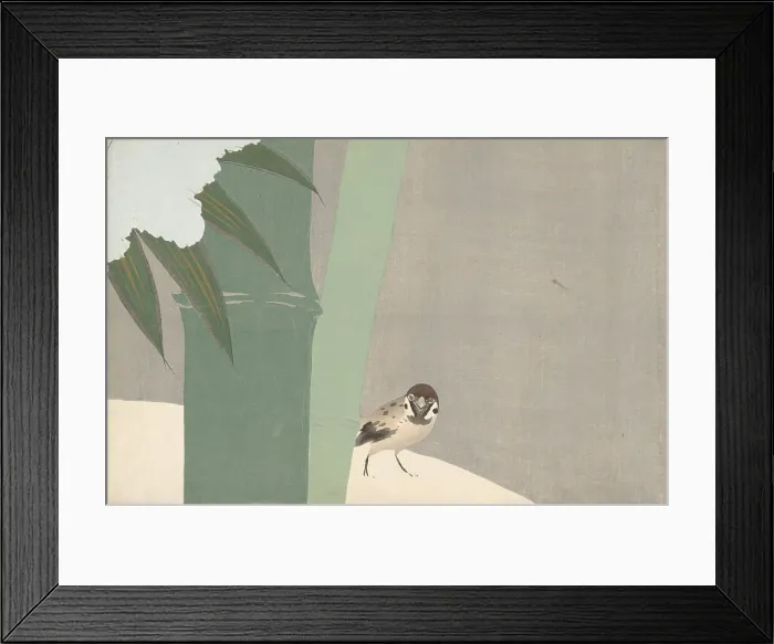 Framed Print : Settchu-take (Bamboo in Snow). From the series A World of Things (Momoyogusa), 1909-1910. Creator: Sekka, Kamisaka (1866-1942). Settchu-take (Bamboo in Snow). From the series A World of Things (Momoyogusa), 1909-1910 Framed Print : Settchu-take (Bamboo in Snow). From the series A World of Things (Momoyogusa), 1909-1910. Creator: Sekka, Kamisaka (1866-1942). Settchu-take (Bamboo in Snow). From the series A World of Things (Momoyogusa), 1909-1910