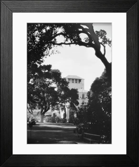 Framed Print : Del Monte, California views, 1927 Creator: Arnold Genthe Framed Print : Del Monte, California views, 1927 Creator: Arnold Genthe