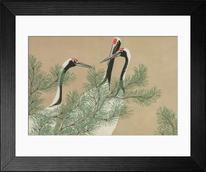 Framed Print : Cranes (Tsuru). From the series A World of Things (Momoyogusa), 1909-1910. Creator: Sekka, Kamisaka (1866-1942). Cranes (Tsuru). From the series A World of Things (Momoyogusa), 1909-1910. Creator: Sekka, Kamisaka (1866-1942) Framed Print : Cranes (Tsuru). From the series A World of Things (Momoyogusa), 1909-1910. Creator: Sekka, Kamisaka (1866-1942). Cranes (Tsuru). From the series A World of Things (Momoyogusa), 1909-1910. Creator: Sekka, Kamisaka (1866-1942)