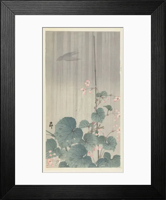 Framed Print : Begonia in the rain, 1930s. Creator: Ohara, Koson (1877-1945) Framed Print : Begonia in the rain, 1930s. Creator: Ohara, Koson (1877-1945)