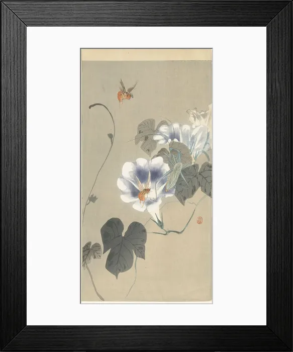 Framed Print : Insects in bindweed, 1920-1930. Creator: Ohara, Koson (1877-1945) Framed Print : Insects in bindweed, 1920-1930. Creator: Ohara, Koson (1877-1945)