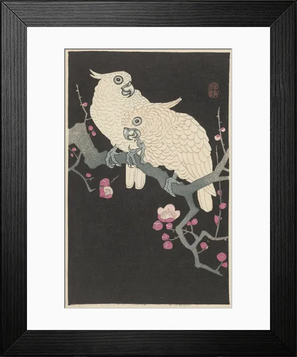 Framed Print : Two cockatoos on branch with plum blossom, 1925-1936. Creator: Ohara, Koson (1877-1945) Framed Print : Two cockatoos on branch with plum blossom, 1925-1936. Creator: Ohara, Koson (1877-1945)