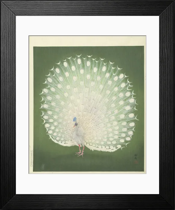 Framed Print : Peacock, 1925-1936. Creator: Ohara, Koson (1877-1945) Framed Print : Peacock, 1925-1936. Creator: Ohara, Koson (1877-1945)