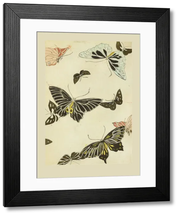 Framed Print : Illustration from Shin bijutsukai, 1901-1902. Creator: Sekka, Kamisaka (1866-1942). Illustration from Shin bijutsukai, 1901-1902. Creator: Sekka, Kamisaka (1866-1942) Framed Print : Illustration from Shin bijutsukai, 1901-1902. Creator: Sekka, Kamisaka (1866-1942). Illustration from Shin bijutsukai, 1901-1902. Creator: Sekka, Kamisaka (1866-1942)