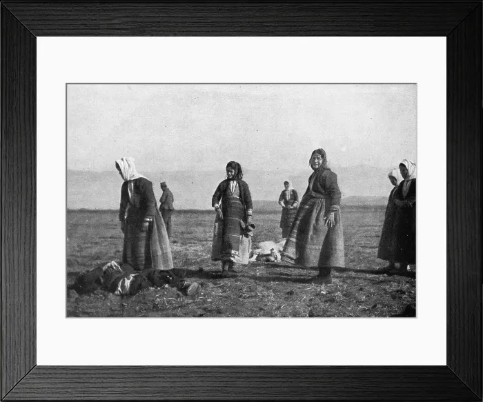 Framed Print : Les premieres victimes des aeroplanes allemands, le 30 decembre : deux moutons... 1915. Creator: Unknown Framed Print : Les premieres victimes des aeroplanes allemands, le 30 decembre : deux moutons... 1915. Creator: Unknown