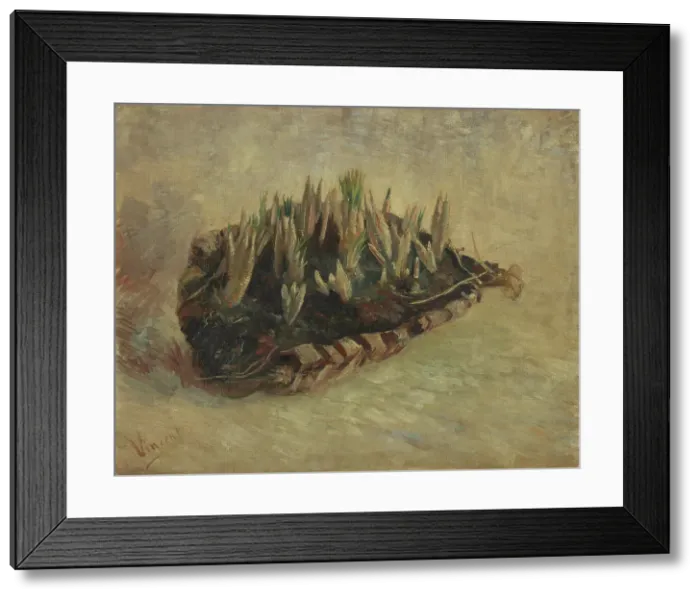 Framed Print : Basket of Crocus Bulbs, 1887. Creator: Gogh, Vincent, van (1853-1890) Framed Print : Basket of Crocus Bulbs, 1887. Creator: Gogh, Vincent, van (1853-1890)