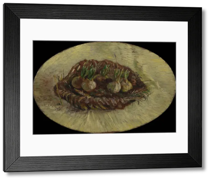Framed Print : Basket of Hyacinth Bulbs, 1887. Creator: Gogh, Vincent, van (1853-1890) Framed Print : Basket of Hyacinth Bulbs, 1887. Creator: Gogh, Vincent, van (1853-1890)