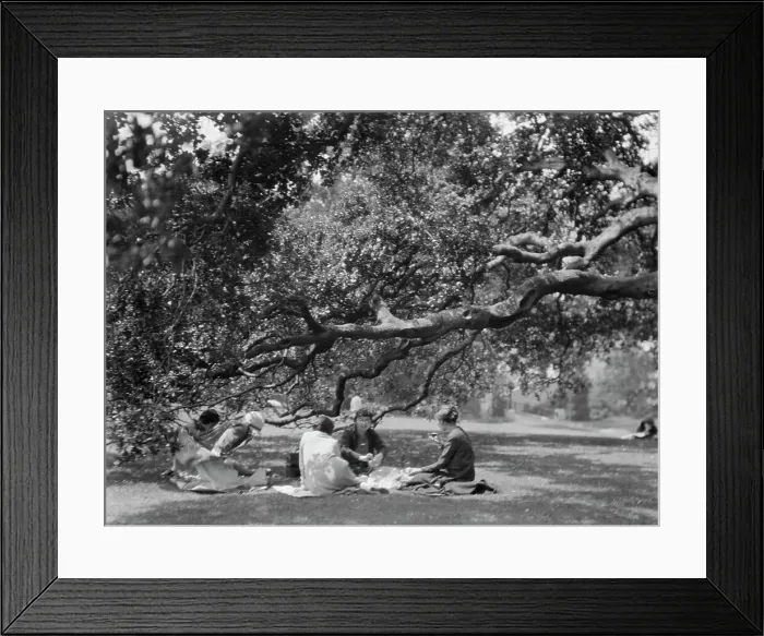 Framed Print : University of California at Berkeley views, 1927 Creator: Arnold Genthe Framed Print : University of California at Berkeley views, 1927 Creator: Arnold Genthe