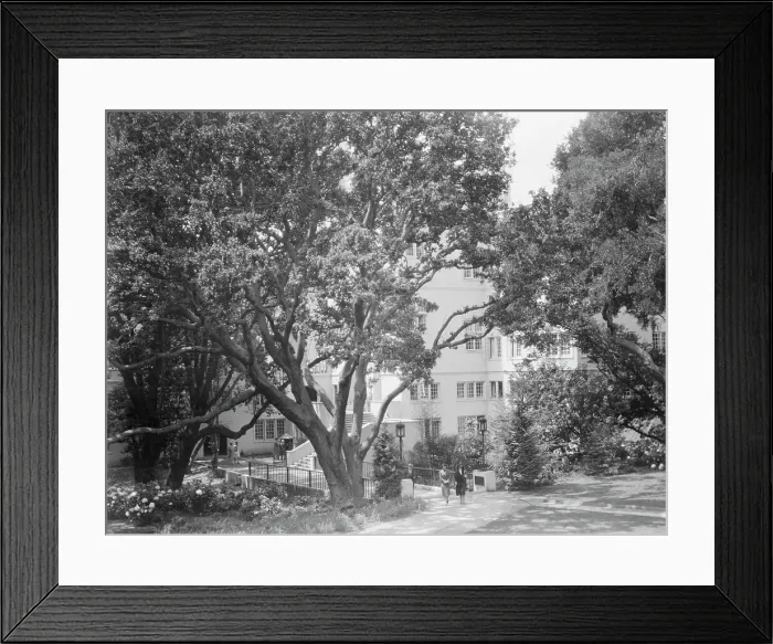 Framed Print : University of California at Berkeley views, 1927 Creator: Arnold Genthe Framed Print : University of California at Berkeley views, 1927 Creator: Arnold Genthe