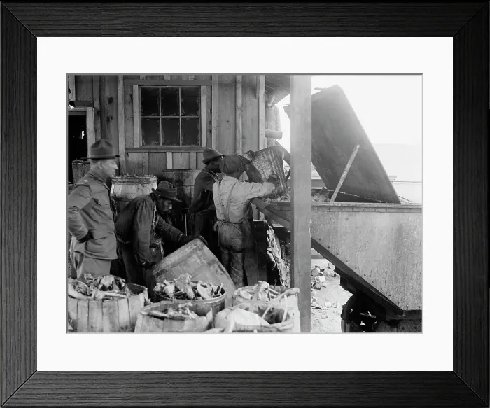 Framed Print : Camp Meade, Maryland - Misc, Views, 1917. Creator: Harris & Ewing. Camp Meade, Maryland - Misc, Views, 1917. Creator: Harris & Ewing Framed Print : Camp Meade, Maryland - Misc, Views, 1917. Creator: Harris & Ewing. Camp Meade, Maryland - Misc, Views, 1917. Creator: Harris & Ewing