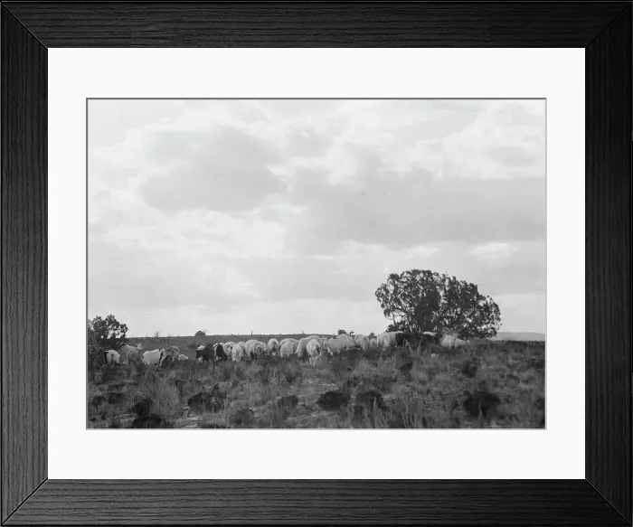 Framed Print : Acoma, New Mexico area views, between 1899 and 1928. Creator: Arnold Genthe Framed Print : Acoma, New Mexico area views, between 1899 and 1928. Creator: Arnold Genthe