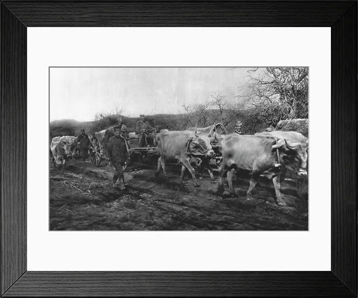 Framed Print : La Tragedie Serbe; Pierre 1er Karageorgevitch quittante le territoirede la Vieille... 1916. Creator: Vladimir Betzitch Framed Print : La Tragedie Serbe; Pierre 1er Karageorgevitch quittante le territoirede la Vieille... 1916. Creator: Vladimir Betzitch
