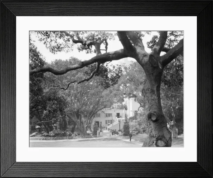 Framed Print : University of California at Berkeley views, 1927 Creator: Arnold Genthe Framed Print : University of California at Berkeley views, 1927 Creator: Arnold Genthe