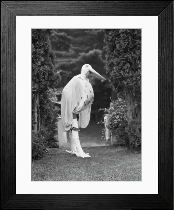 Framed Print : Scene from Sanctuary, A Bird Masque, by Percy MacKaye...Meriden Bird Club...New Hampshire, 1913. Creator: Arnold Genthe Framed Print : Scene from Sanctuary, A Bird Masque, by Percy MacKaye...Meriden Bird Club...New Hampshire, 1913. Creator: Arnold Genthe