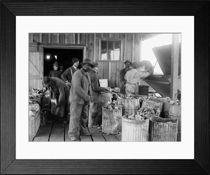 Framed Print : Camp Meade, Maryland - Misc, Views, 1917. Creator: Harris & Ewing. Camp Meade, Maryland - Misc, Views, 1917. Creator: Harris & Ewing Framed Print : Camp Meade, Maryland - Misc, Views, 1917. Creator: Harris & Ewing. Camp Meade, Maryland - Misc, Views, 1917. Creator: Harris & Ewing