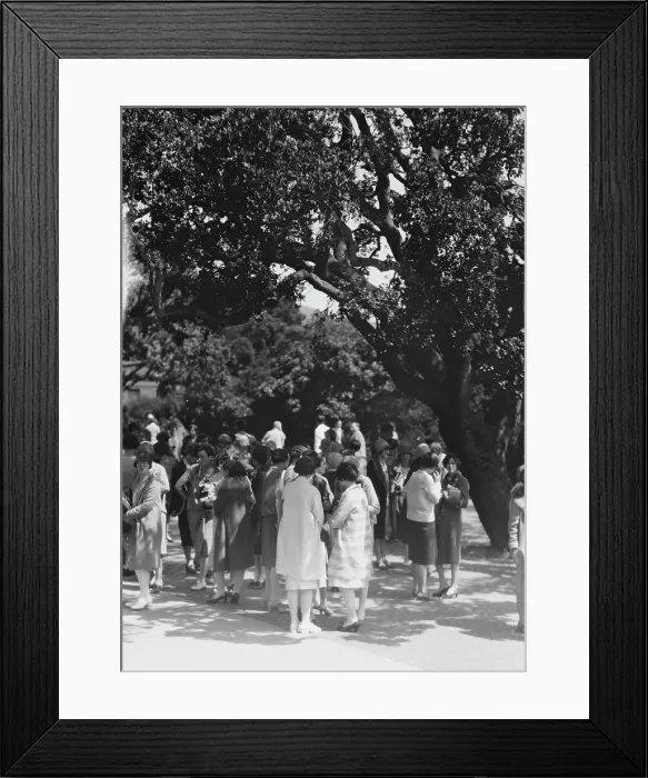 Framed Print : University of California at Berkeley views, 1927 Creator: Arnold Genthe Framed Print : University of California at Berkeley views, 1927 Creator: Arnold Genthe