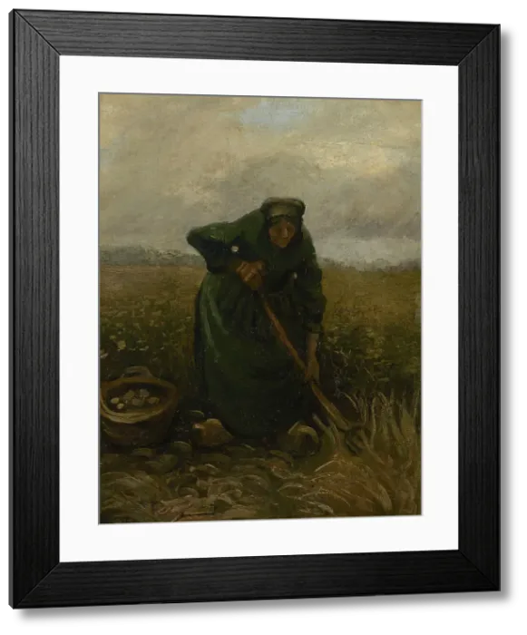 Framed Print : Woman Lifting Potatoes, 1885. Creator: Gogh, Vincent, van (1853-1890) Framed Print : Woman Lifting Potatoes, 1885. Creator: Gogh, Vincent, van (1853-1890)