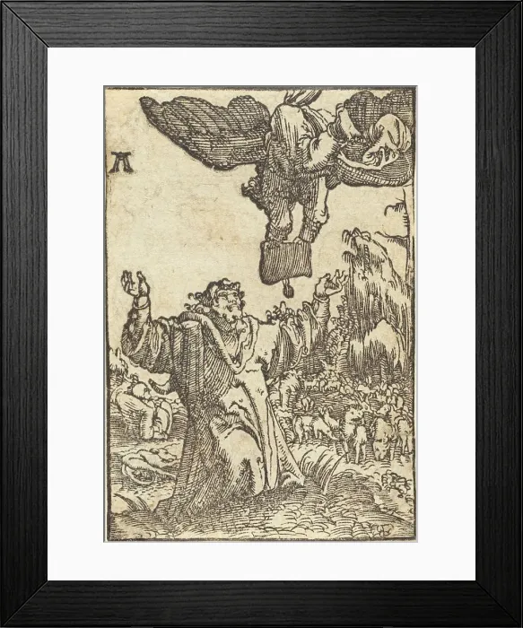 Framed Print : Annunciation to Joachim, c. 1513. Creator: Albrecht Altdorfer Framed Print : Annunciation to Joachim, c. 1513. Creator: Albrecht Altdorfer
