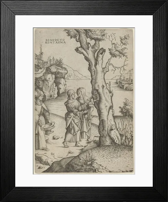 Framed Print : Birth of Adonis, c. 1515 / 1520. Creator: Benedetto Montagna Framed Print : Birth of Adonis, c. 1515 / 1520. Creator: Benedetto Montagna