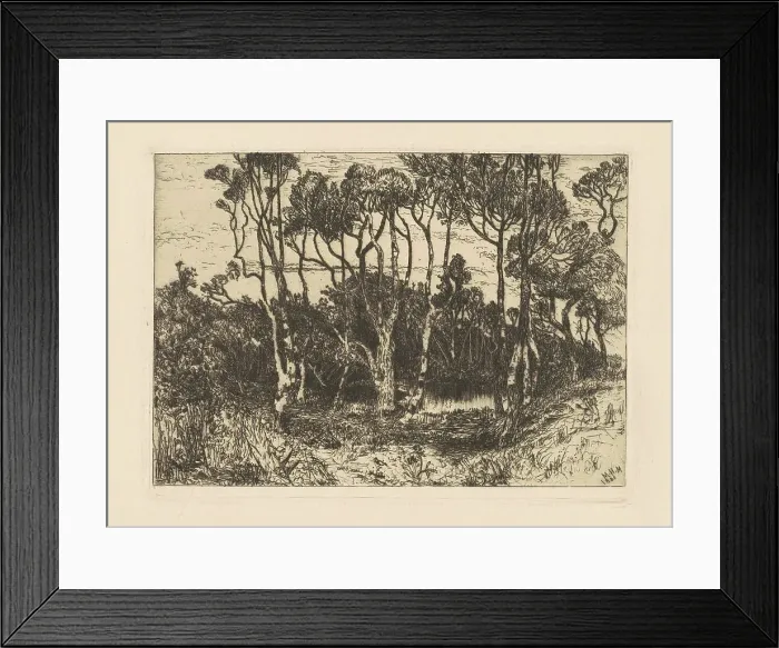 Framed Print : Solitude, 1880. Creator: Mary Nimmo Moran Framed Print : Solitude, 1880. Creator: Mary Nimmo Moran
