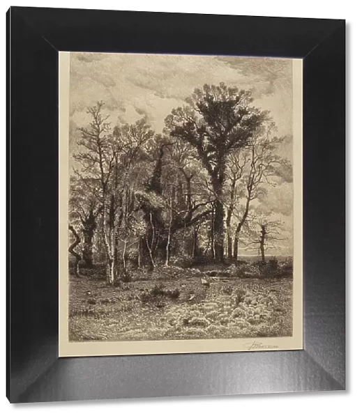 The Edge of the Swamp, 1886. Creator: Peter Moran