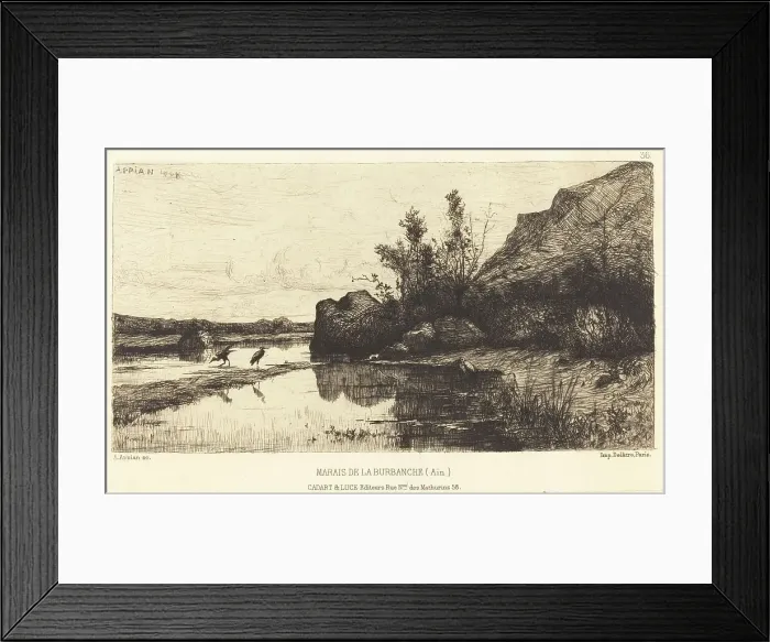 Framed Print : Marais de la Burbanche. Creator: Adolphe Appian Framed Print : Marais de la Burbanche. Creator: Adolphe Appian